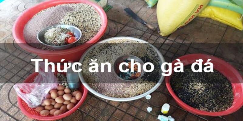 Yếu tố dinh dưỡng trong bí quyết đá gà